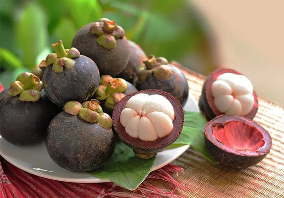 mangosteen extract 1