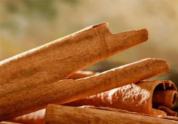 Cinnamon Bark Extract