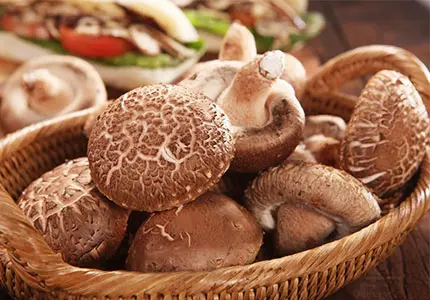 Shiitake Whole/ Cut/ Powder/ Extract