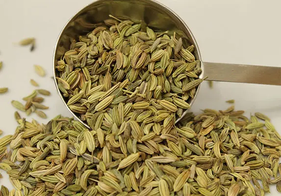 fennel seed extract powder manufacturers