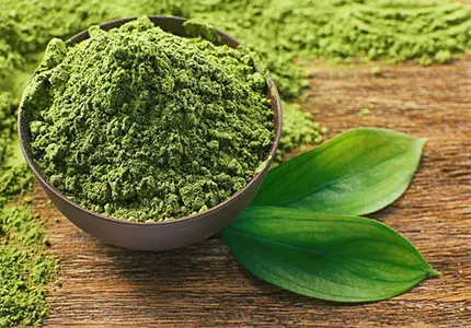 matcha powder wholesale