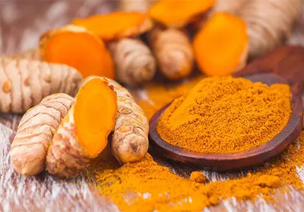 Turmeric Root Powder/ Extract