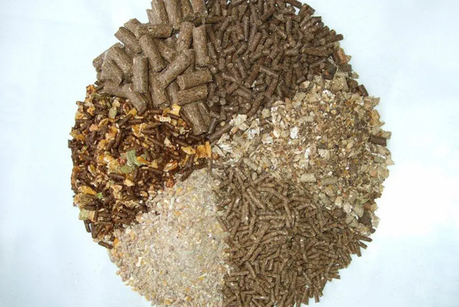 Botanical Extracts in Animal Feed