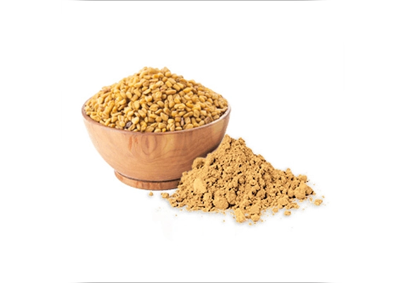 common fenugreek extract powder 1