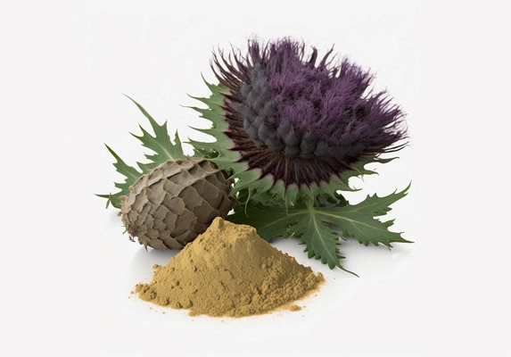 organic milk thistle extract bulk