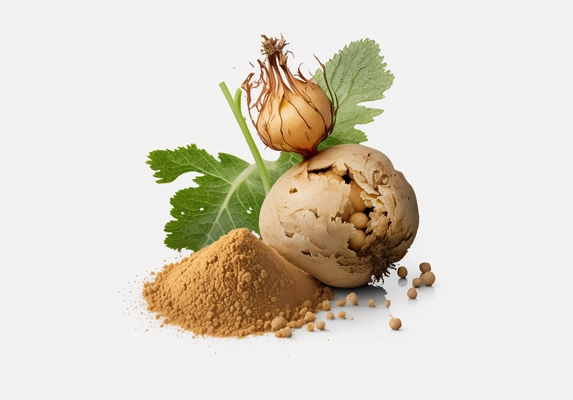 maca extract suppliers