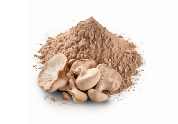 oyster mushroom cut powder extract 2