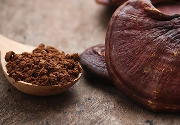 red reishi powder