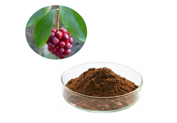 schisandra extract