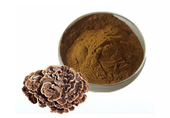 turkey tail mushroom powder extract