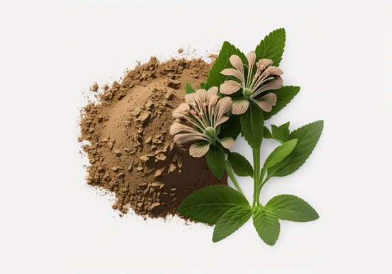 valerian cut powder extract 3