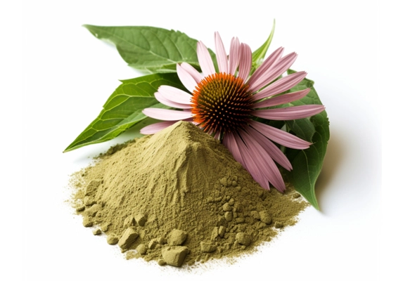 echinacea extract supplier