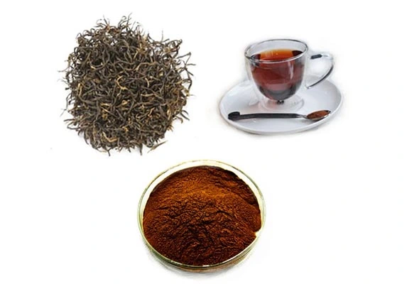 Instant Black Tea Extract Powder