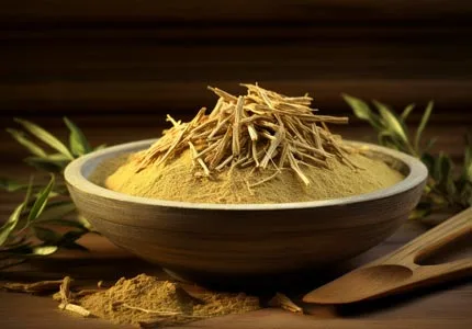 Organic Astragalus Root Extract