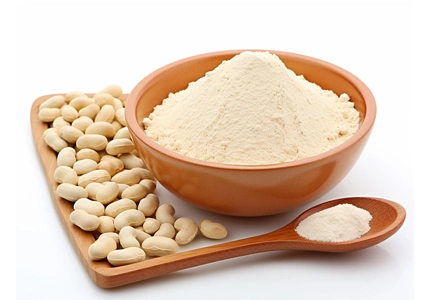 White Kidney Bean Extract