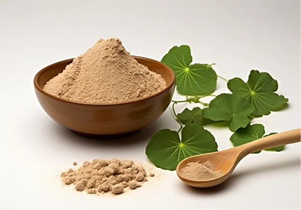 Gotu Kola Extract